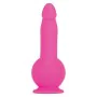 Vibromasseur à boules Evolved Rose de Evolved, Oeufs vibrants - Réf : S9404673, Prix : 50,15 €, Remise : %