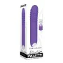 Vibrateur G-Spot Evolved Violet de Evolved, Vibrateurs du point G - Réf : S9404685, Prix : 18,88 €, Remise : %