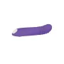 Vibrateur G-Spot Evolved Violet de Evolved, Vibrateurs du point G - Réf : S9404685, Prix : 18,88 €, Remise : %