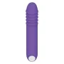 Vibrateur G-Spot Evolved Violet de Evolved, Vibrateurs du point G - Réf : S9404685, Prix : 18,88 €, Remise : %