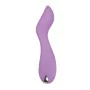 Mini Vibromasseur Evolved Lilac G Rose de Evolved, Oeufs vibrants - Réf : S9404754, Prix : 17,94 €, Remise : %