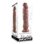 Dildo Realista Evolved PVC Ø 4 cm (15,2 cm) de Evolved, Consoladores realistas - Ref: S9404778, Preço: 19,00 €, Desconto: %