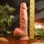 Realistic Dildo Evolved PVC Ø 4 cm by Evolved, Realistic vibrators - Ref: S9404779, Price: 30,10 €, Discount: %