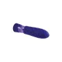 Mini Vibromasseur Evolved Raver Violet de Evolved, Oeufs vibrants - Réf : S9404797, Prix : 32,48 €, Remise : %