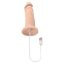 Gode réaliste Evolved Silicone Ø 4,8 cm (15,2 cm) de Evolved, Consolateurs réalistes - Réf : S9404828, Prix : 30,88 €, Remise...