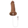 Dildo Realista Evolved Silicone Ø 4,8 cm (15,2 cm) de Evolved, Consoladores realistas - Ref: S9404829, Preço: 48,71 €, Descon...