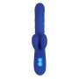 Vibrateur G-Spot Evolved Grand Slam Bleu de Evolved, Vibrateurs du point G - Réf : S9404889, Prix : 48,53 €, Remise : %