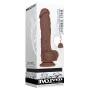 Dildo Realista Evolved Silicone ABS Ø 4,2 cm (15,2 cm) de Evolved, Consoladores realistas - Ref: S9404898, Preço: 74,10 €, De...