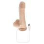 Gode réaliste Evolved Silicone ABS Ø 3,6 cm (14,6 cm) de Evolved, Consolateurs réalistes - Réf : S9404968, Prix : 49,67 €, Re...