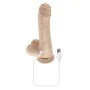 Dildo Realista Evolved Silicone ABS Ø 3,6 cm (14,6 cm) de Evolved, Consoladores realistas - Ref: S9404968, Preço: 49,67 €, De...