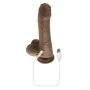 Dildo Realista Evolved Silicone ABS Ø 3,6 cm (14,6 cm) de Evolved, Consoladores realistas - Ref: S9404969, Preço: 49,67 €, De...