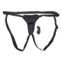 New Comers Strap Sportsheets Black by Sportsheets, Harnesses - Ref: S9405980, Price: 65,55 €, Discount: %