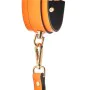 Algemas Dream Toys Radiant Laranja de Dream Toys, Algemas - Ref: S9406125, Preço: 8,26 €, Desconto: %