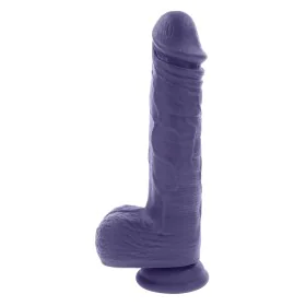 Vibrador Evolved Morado de Evolved, Vibradores clásicos - Ref: S9406232, Precio: 63,13 €, Descuento: %