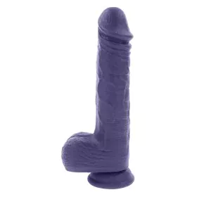 Vibromasseur Evolved Violet de Evolved, Vibromasseurs classiques - Réf : S9406232, Prix : 63,13 €, Remise : %