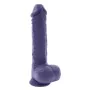 Vibrador Evolved Morado de Evolved, Vibradores clásicos - Ref: S9406232, Precio: 66,66 €, Descuento: %