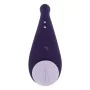 Vibromasseur Evolved Panty Party Violet de Evolved, Vibromasseurs classiques - Réf : S9406235, Prix : 31,90 €, Remise : %