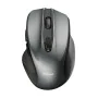 Optical Wireless Mouse Trust 24115 Black by Trust, Mice - Ref: S9908095, Price: 20,63 €, Discount: %