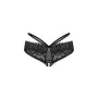 Bragas Obsessive XS/S de Obsessive, Braguitas - Ref: M0400948, Precio: 9,15 €, Descuento: %