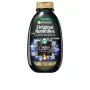 Champú Garnier Original Remedies Equilibrante Carbón magnético (250 ml) de Garnier, Champús - Ref: S05109515, Precio: 5,69 €,...