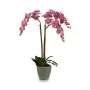 Decorative Plant Orchid Plastic 33 x 77 x 33 cm (2 Units) by Ibergarden, Artificial Plants - Ref: S3623949, Price: 49,85 €, D...