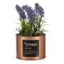 Planta Decorativa Lavanda Lata Morado Metal Cobre Verde Plástico 10 x 18 x 10 cm (6 Unidades) de Ibergarden, Plantas - Ref: S...