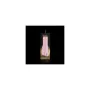 Masturbator Fleshlight Lady Stamina Training Unit von Fleshlight, Masturbator-Zubehör und Deckel - Ref: M0401790, Preis: 48,6...