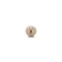 Masturbateur Fleshlight Adriana Chechik de Fleshlight, Accessoires et housses de masturbation - Réf : M0401814, Prix : 58,00 ...