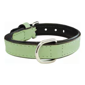 Dog collar Gloria Padded Green (45 x 2 cm) by Gloria, Collars - Ref: S6100754, Price: 7,68 €, Discount: %