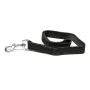 Correa para Perro Gloria Oasis Negro (2.1 x 100 cm) de Gloria, Correas - Ref: S6100880, Precio: 11,95 €, Descuento: %