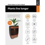 Plantador Capi Europe Nature Rib Antracite Plástico de Capi Europe, Vasos - Ref: S71008842, Preço: 169,91 €, Desconto: %