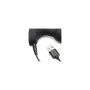 Plug Anal XR AG805-SMALL Noir de XR, Plugs anals - Réf : M0402386, Prix : 45,82 €, Remise : %