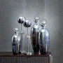 Botella Plateado Aluminio Cristal 13 x 13 x 39 cm Decorativa de BigBuy Home, Adornos - Ref: S8807270, Precio: 39,47 €, Descue...