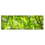 Quadro Verde 180 x 3 x 60 cm di BigBuy Home, Stampe e quadri su tela - Rif: S8807560, Prezzo: 34,44 €, Sconto: %