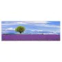 Pintura Multicolor 180 x 3 x 60 cm de BigBuy Home, Impressões sobre tela - Ref: S8807562, Preço: 34,44 €, Desconto: %