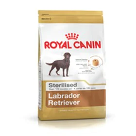 mangime Royal Canin Labrador Retriever Sterilised Adulto Pollo Riso Mais Uccelli 12 kg di Royal Canin, Secco - Rif: S9105319,...