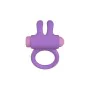 Anneau Pénis Party Color Toys Lila Silicone de Party Color Toys, Anneaux de pénis - Réf : M0402671, Prix : 17,70 €, Remise : %