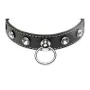 Coleira com Corrente para Bondage XR de XR, Coleiras - Ref: M0403339, Preço: 12,28 €, Desconto: %