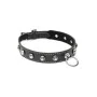 Coleira com Corrente para Bondage XR de XR, Coleiras - Ref: M0403339, Preço: 12,28 €, Desconto: %