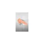 Dildo Realistico Real Body di Real Body, Dildo realistici - Rif: M0405030, Prezzo: 15,03 €, Sconto: %