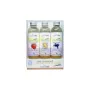 Lubricante Nature Body Vanilla 3 x 75 ml Fresa Arándanos de Nature Body, Lubricantes y geles - Ref: M0406007, Precio: 9,81 €,...