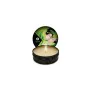 Óleo de Massagem Erótico Shunga de Shunga, Óleos de massagem - Ref: M0406239, Preço: 50,35 €, Desconto: %