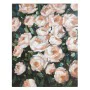 Cadre Huile Roses Bois de pin (80 X 4 x 100 cm) de BigBuy Home, Impressions sur toile - Réf : S0110298, Prix : 55,06 €, Remis...