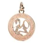 Pendentif Femme Folli Follie 3P1T014RC (4 cm) de Folli Follie, Pendentifs seuls - Réf : S0356147, Prix : 18,15 €, Remise : %