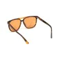 Lunettes de soleil Homme Web Eyewear WE0263-5956J ø 59 mm de Web Eyewear, Lunettes et accessoires - Réf : S0367260, Prix : 38...