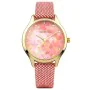 Reloj Mujer Bergson BGW8600RL21 (Ø 36 mm) de Bergson, Relojes de pulsera - Ref: S0378359, Precio: 8,60 €, Descuento: %