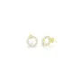 Ladies' Earrings Radiant RY000025 Stainless steel 1,5 cm by Radiant, Earrings - Ref: S0381839, Price: 21,07 €, Discount: %