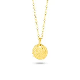 Necklace Radiant RY000028 50 cm by Radiant, Necklaces - Ref: S0381842, Price: 24,90 €, Discount: %