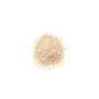 Polvos Sueltos Clinique Blended Nº 03 Transparency 25 g de Clinique, Polvos - Ref: S05101354, Precio: 34,79 €, Descuento: %