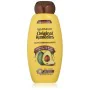 Shampoo anticrespo Garnier Original Remedies Avocado Karité 600 ml di Garnier, Shampoo - Rif: S05101822, Prezzo: 9,80 €, Scon...